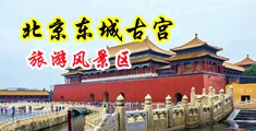 黑人的大鸡巴把美女的小逼眼操坏中国北京-东城古宫旅游风景区